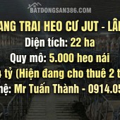 Thu 2 Tỷ/Tháng Từ Trại Heo 22ha